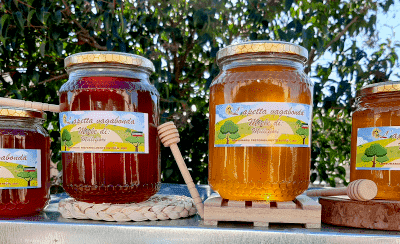 Miel de fleurs sauvages